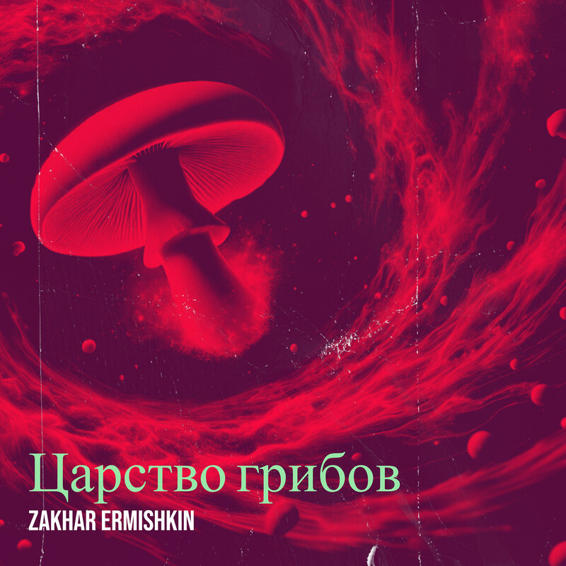 Обложка альбома «Царство грибов»
